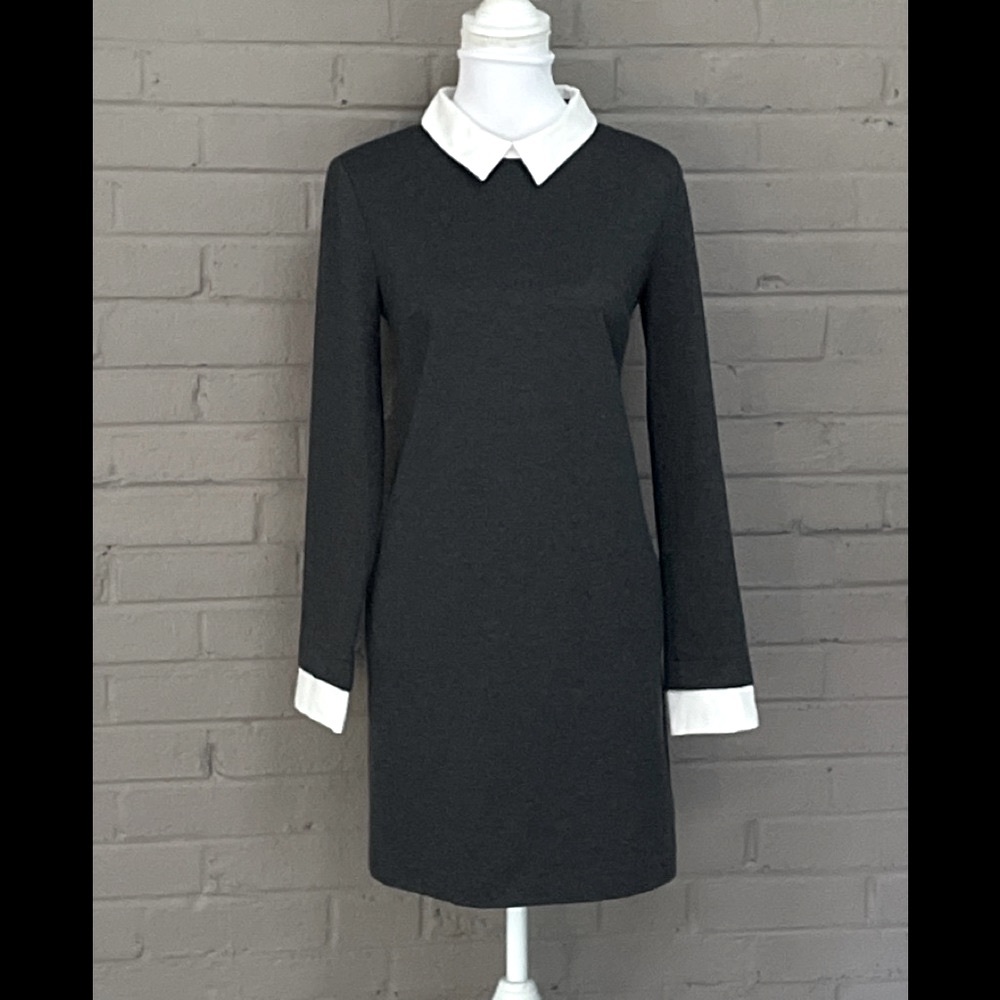 Cynthia Steffe  gray dress 8